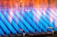 Little Twycross gas fired boilers